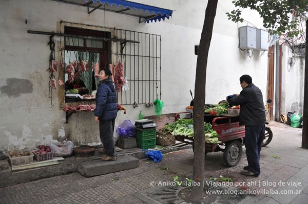 china-aniko-villalba-12
