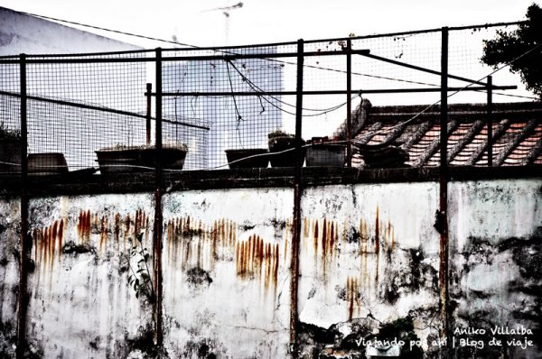 macau-en-lomo-44