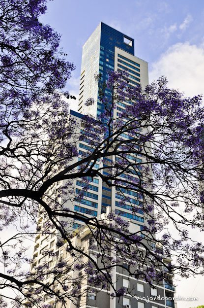 buenos-aires-5