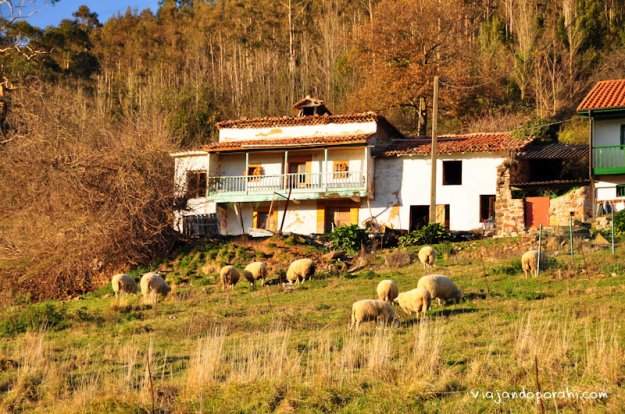 asturias-aniko-villalba-15