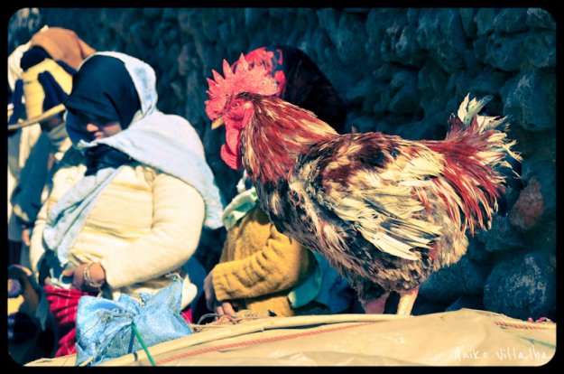 tetouan-marruecos-aniko-villalba-63