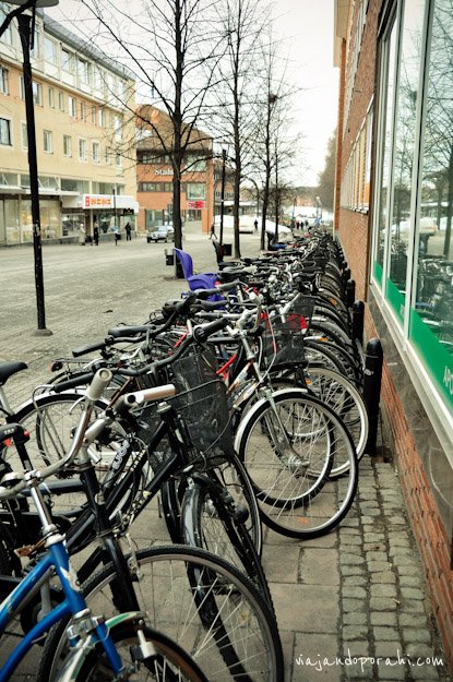 bicicleta-aniko-villalba-1-2