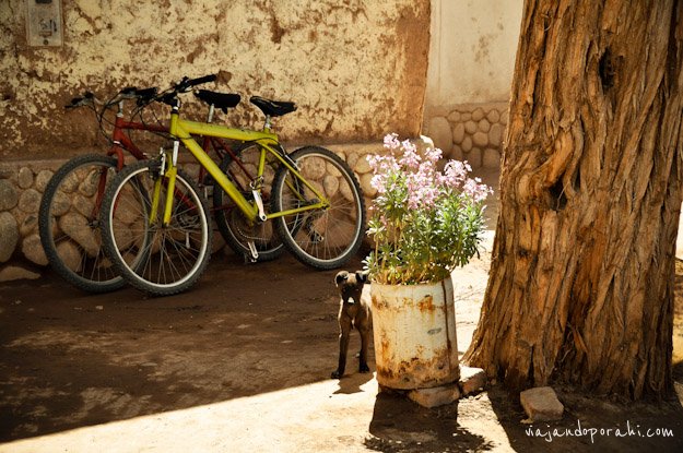 bicicleta-aniko-villalba-1