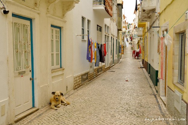 nazare-portugal-27