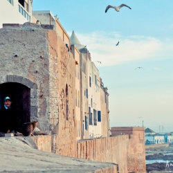 essaouira-marruecos-aniko-villalba-11
