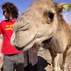 merzouga-erg-chebbi-marruecos-aniko-villalba-46