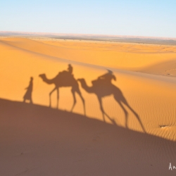 merzouga-erg-chebbi-marruecos-aniko-villalba-88