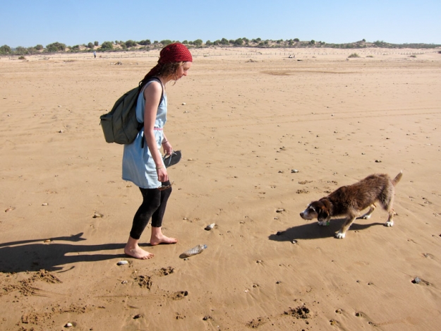 playa-essaouira-aniko