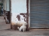 laos-savannakhet-39-aniko-villalba