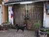 laos-savannakhet-64-aniko-villalba