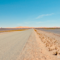 ruta-1