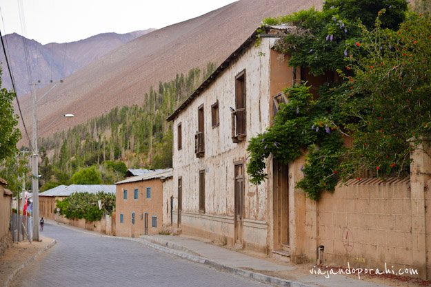 valle-de-elqui-chile-aniko-villalba-3 valle-de-elqui-chile-aniko-villalba-3