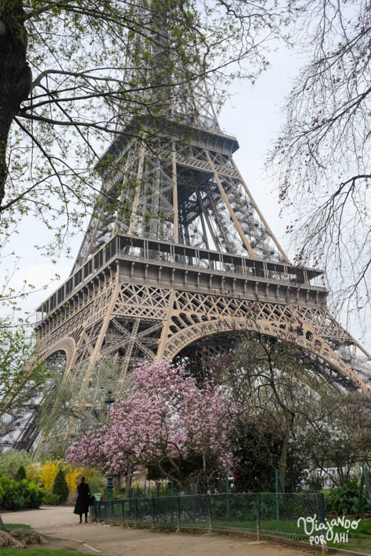 viaje de inmersión lingüística en París